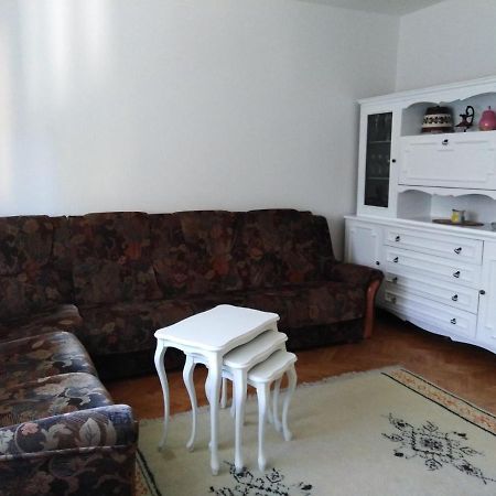 Appartement Apartman Tara à Vrdnik Extérieur photo